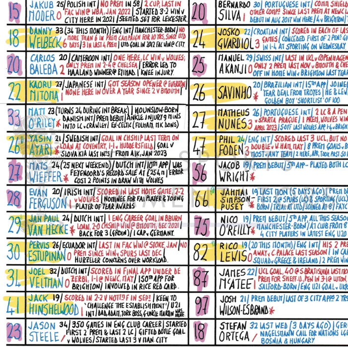 FOOTBALL Brighton v Manchester City Premier League American Express Stadium Nov 9 2024. Rob Hawthorne. Picture Frames