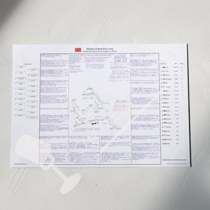 Formula 1 Chinese Grand Prix Shanghai International Circuit Shanghai. 23 March 2025. David Croft. A2 (print only)