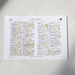 RUGBY Champions Cup Final Leinster v Saracens St James Park 11 May 2019. Miles Harrison A3 Print Only Picture Frames