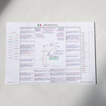 Formula 1 Italian Grand Prix Autodromo Nazionale Monza 1 September 2024. David Croft. Picture Frames