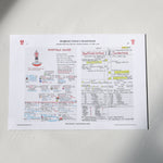 FOOTBALL Sheffield United v Sunderland. Championship Playoff Final. Wembley Stadium. 24 May 2025. Nick Barnes. Picture