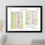 RUGBY UNION Australia v British & Irish Lions Second Test MCG Melbourne. 26 July 2025. Miles Harrison. Picture Frames