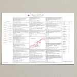 Formula 1 Japanese Grand Prix Suzuka 13 October 1996. Ben Edwards. A2 (print only) Picture Frames