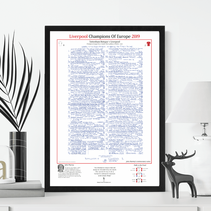 FOOTBALL Tottenham Hotspur v Liverpool, Champions League Final, Estadio Metropolitano, Madrid. June 1, 2019. John Murray.