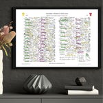 RUGBY UNION Australia v British & Irish Lions Third Test Accor Stadium Sydney. 2 August 2025. Miles Harrison. Picture