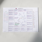 Formula 1 British Grand Prix Silverstone Circuit 14 July 2019. David Croft. A3 (print only) *small typeface Picture
