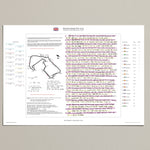 Formula 1 British Grand Prix Silverstone 5 July 2015. Ben Edwards A2 (print only) Picture Frames