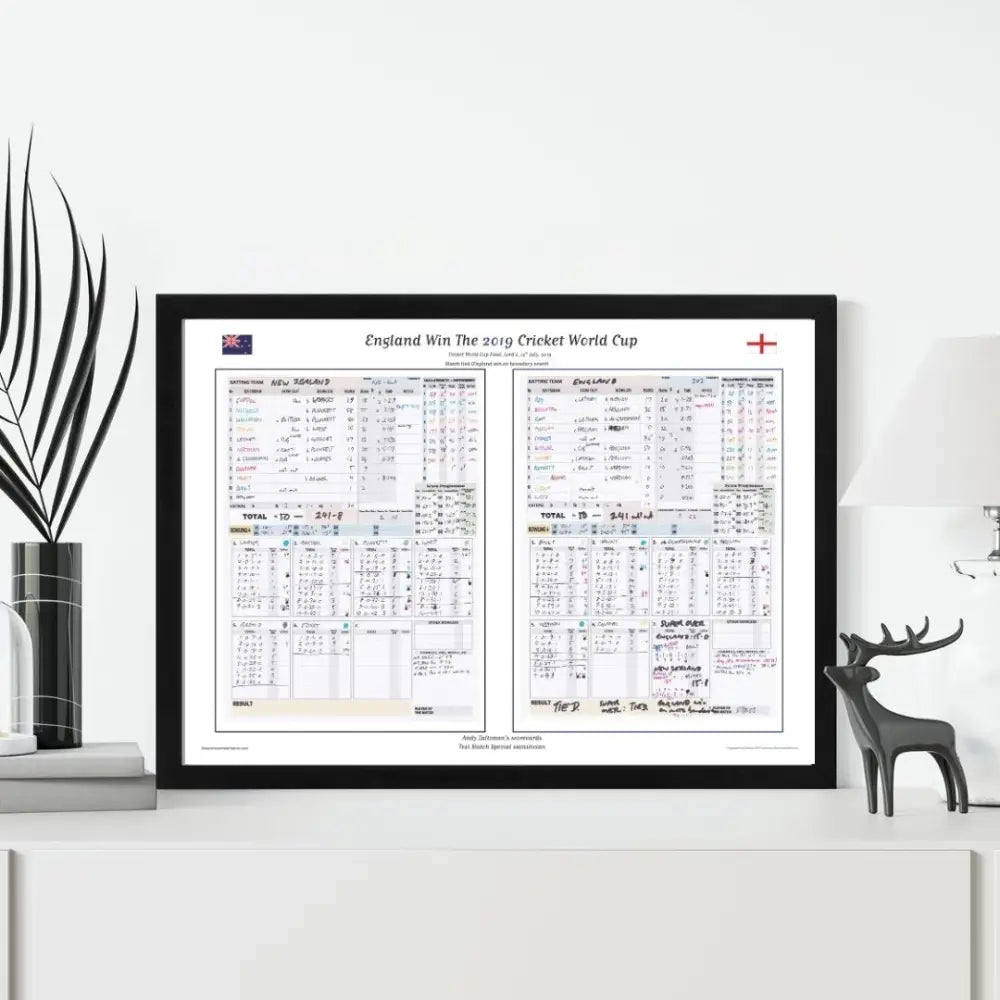 CRICKET England v New Zealand ICC Cricket World Cup Final Lord’s London. July 14 2019. Andy Zaltzman - Picture Frames