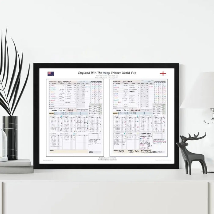 CRICKET England v New Zealand ICC Cricket World Cup Final Lord’s London. July 14 2019. Andy Zaltzman - Picture Frames