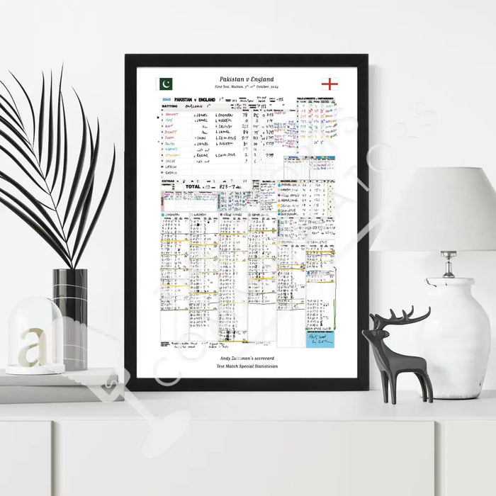 CRICKET Pakistan v England First Test Multan Pakistan. October 7-11 2024. Andy Zaltzman Picture Frames