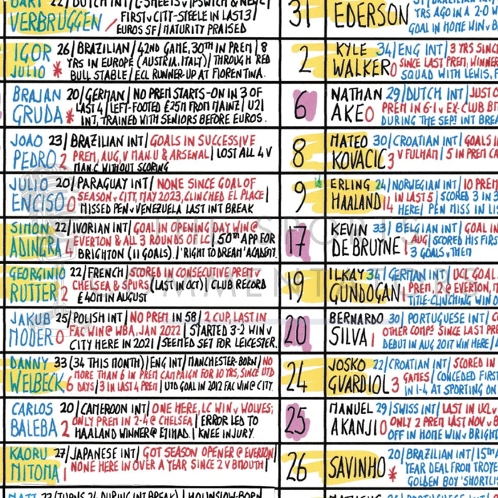 FOOTBALL Brighton v Manchester City Premier League American Express Stadium Nov 9 2024. Rob Hawthorne. Picture Frames