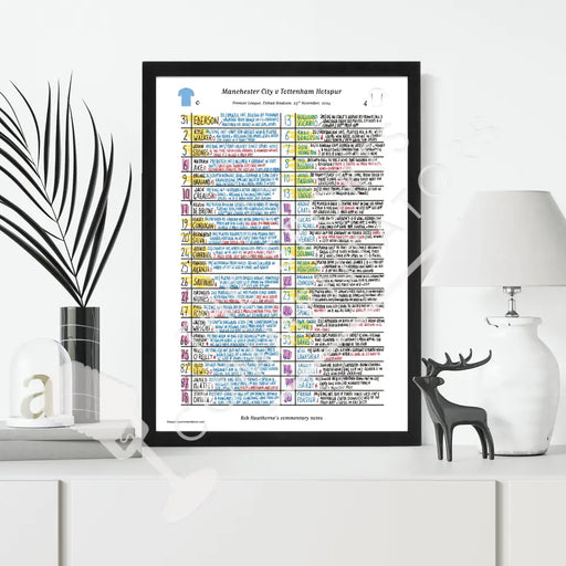 FOOTBALL Manchester City v Tottenham Hotspur Premier League Etihad Stadium November 23 2024. Rob Hawthorne. Picture