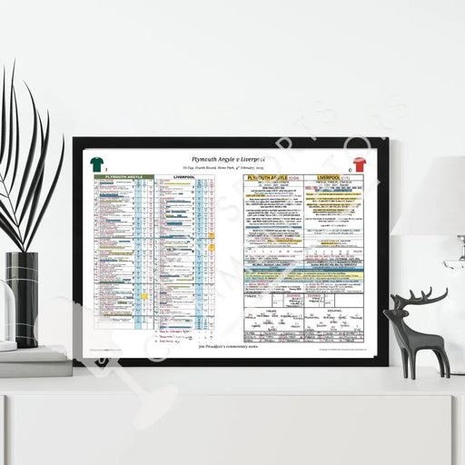 FOOTBALL Plymouth Argyle v Liverpool FA Cup Fourth Round Home Park 9 February 2025. Jim Proudfoot. Picture Frames