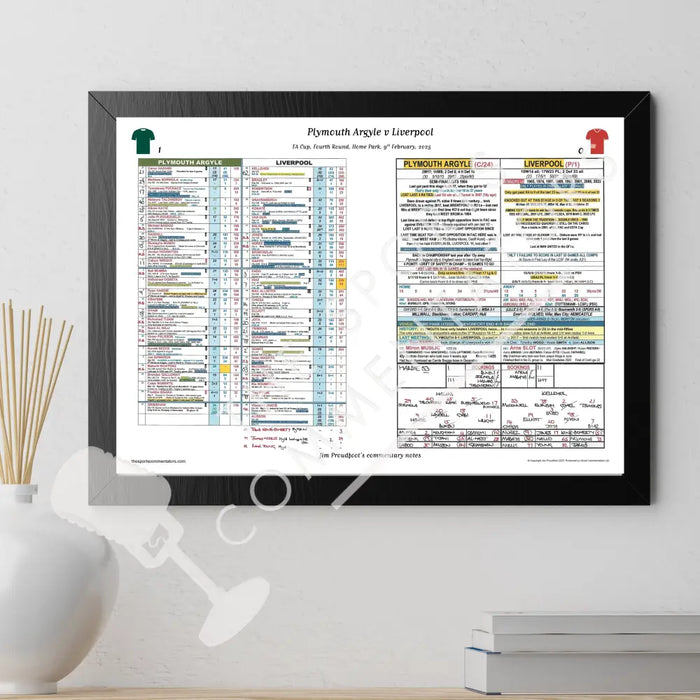 FOOTBALL Plymouth Argyle v Liverpool FA Cup Fourth Round Home Park 9 February 2025. Jim Proudfoot. Picture Frames