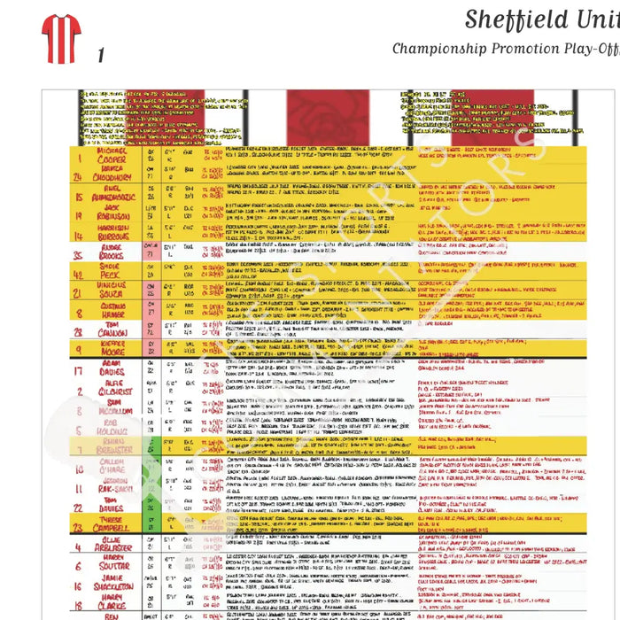 FOOTBALL Sheffield United v Sunderland. Championship Playoff Final. Wembley Stadium. 24 May 2025. Daniel Mann. Picture